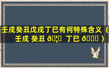 壬戌癸丑戊戌丁巳有何特殊含义（壬戌 癸丑 🦄  丁巳 🐒 ）